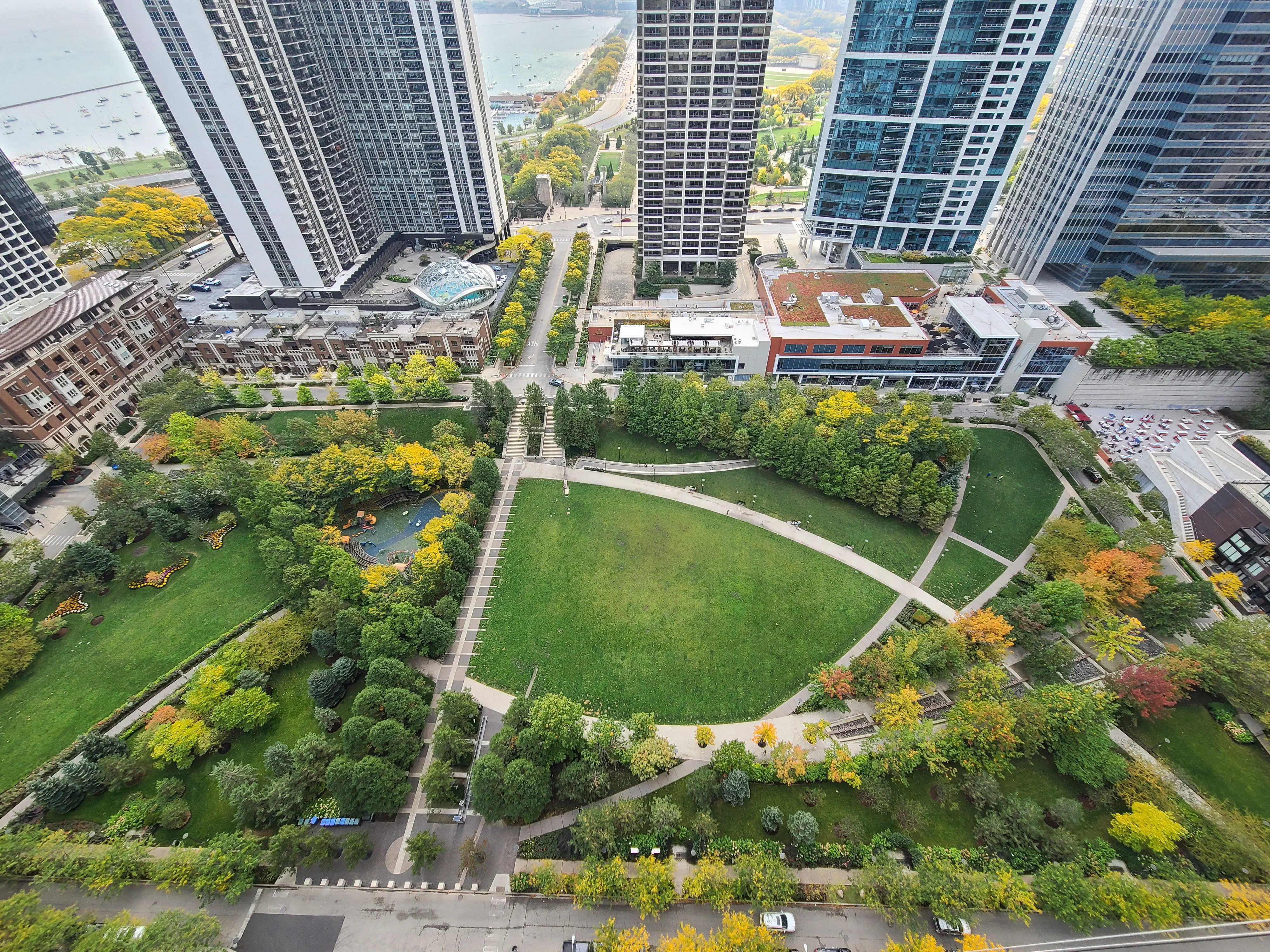 Summer Concert in the Park